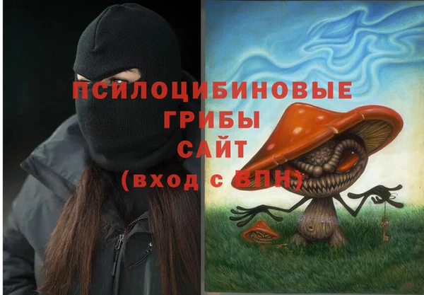 винт Богданович