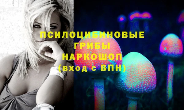 первитин Богородицк
