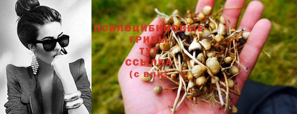 винт Богданович