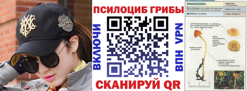 Купить закладки  Аша  Галлюциногенные грибы Psilocybe 