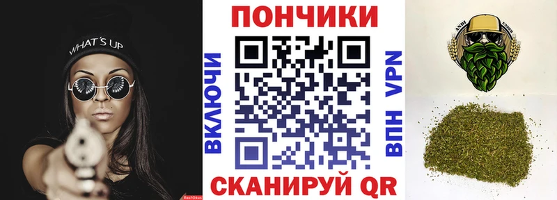 Конопля сатива  Купить  Аша 